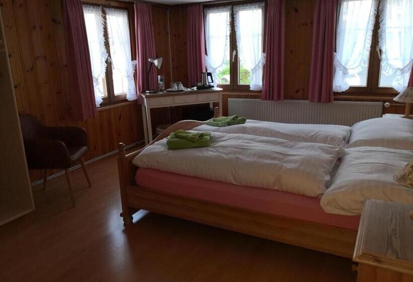 חדר סטנדרט, Pizzeria Pension Gambrinus