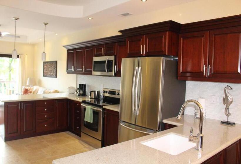 آپارتمان 1 خوابه با چشمانداز استخر, The Meridian At Lighthouse Point