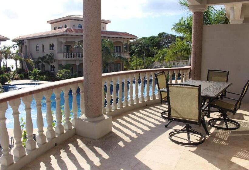 آپارتمان 1 خوابه با چشمانداز استخر, The Meridian At Lighthouse Point