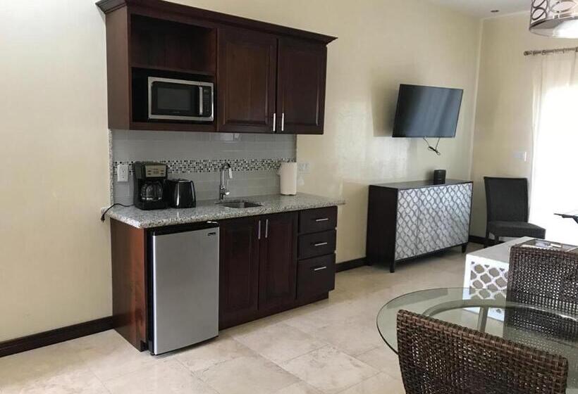 استودیوی استاندارد, The Meridian At Lighthouse Point