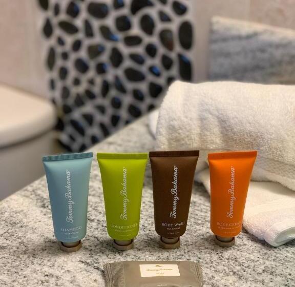 آپارتمان 1 خوابه با چشمانداز دریا, The Meridian At Lighthouse Point