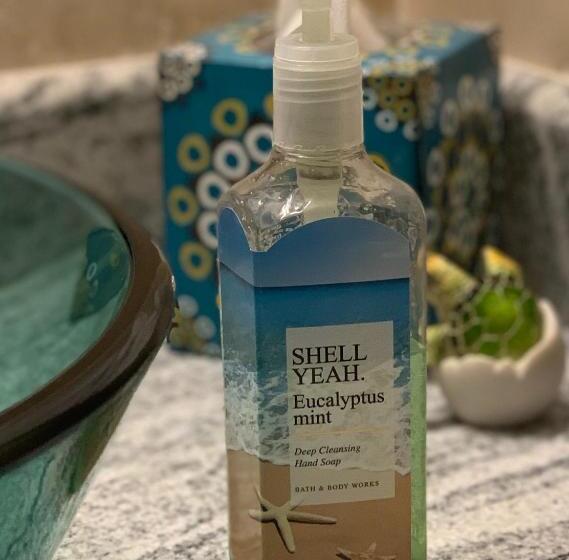 آپارتمان 1 خوابه با چشمانداز دریا, The Meridian At Lighthouse Point