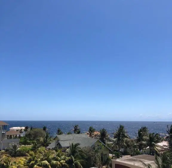 1 Bedroom Penthouse Apartment, The Meridian At Lighthouse Point