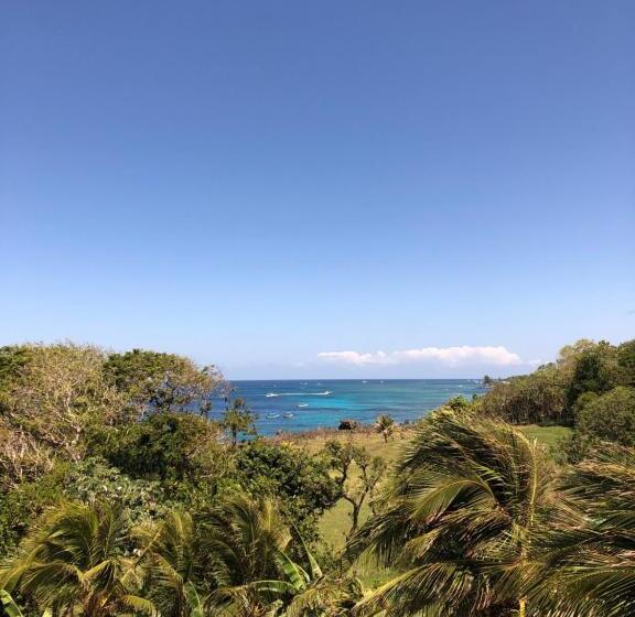 1 Bedroom Penthouse Apartment, The Meridian At Lighthouse Point