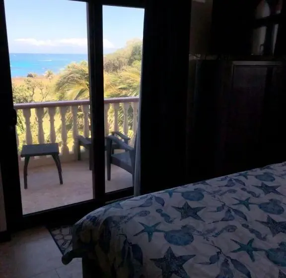 1 Bedroom Penthouse Apartment, The Meridian At Lighthouse Point