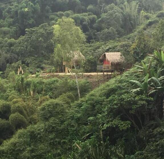 בקתה סטנדרטית, Miradores Del Oso Perezoso