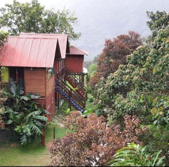 בונגלו סטנדרט עם נוף לגינה, Miradores Del Oso Perezoso