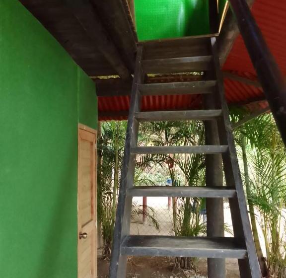 בונגלו משפחתי, Miradores Del Oso Perezoso