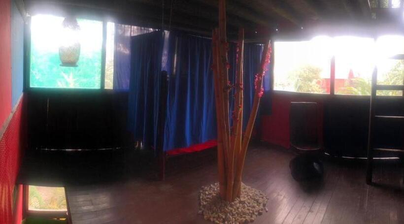 מיטה בחדר משותף, Miradores Del Oso Perezoso