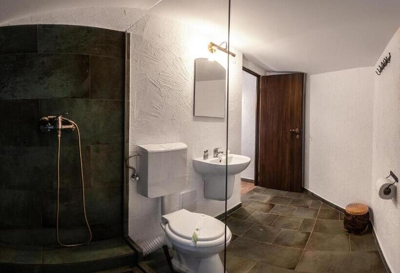 غرفة قياسية, Artelier Vama Veche