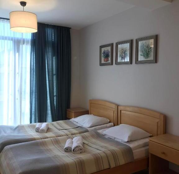 اتاق استاندارد با چشمانداز کوهستان, Boutique Hotel Mestia