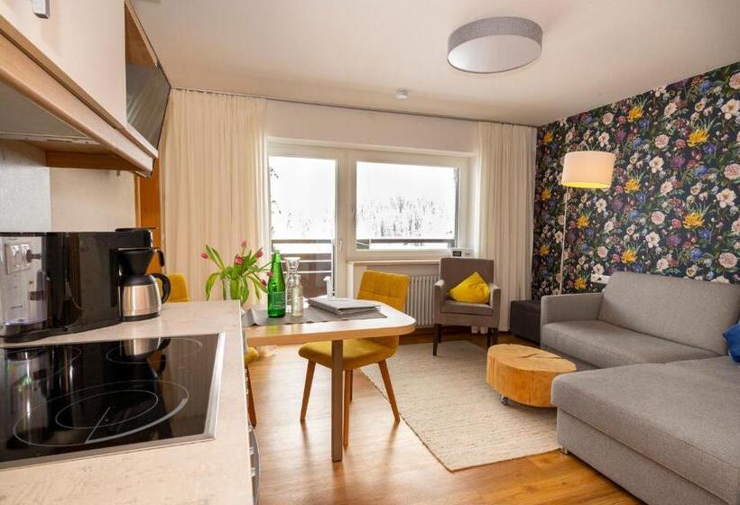 침실 1개 아파트, Alp Chalet