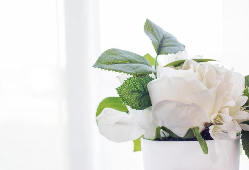 家庭间, King Guest Lodge