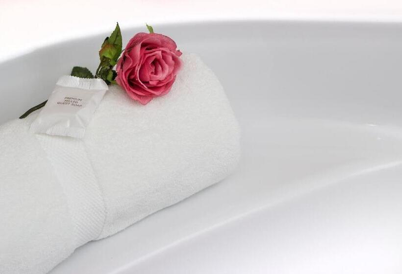 家庭间, King Guest Lodge