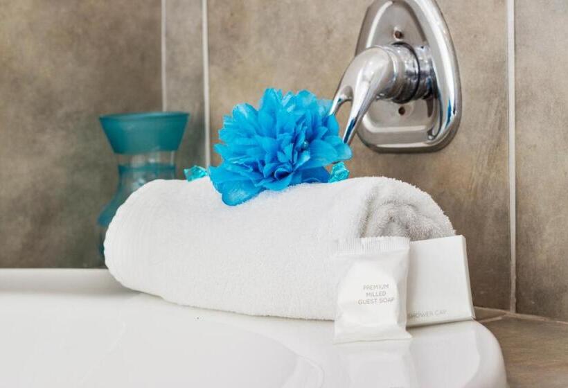 豪华房间, King Guest Lodge