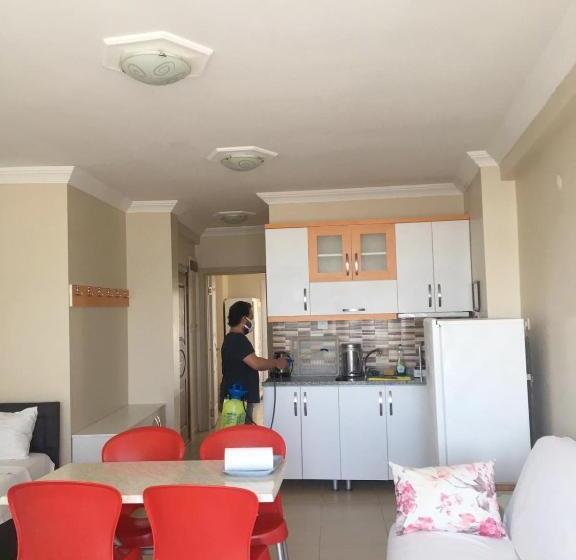 آپارتمان 1 خوابه با بالکن, Hakan Apart Otel