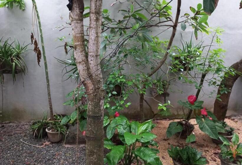 豪华房间, Mango Villa 703