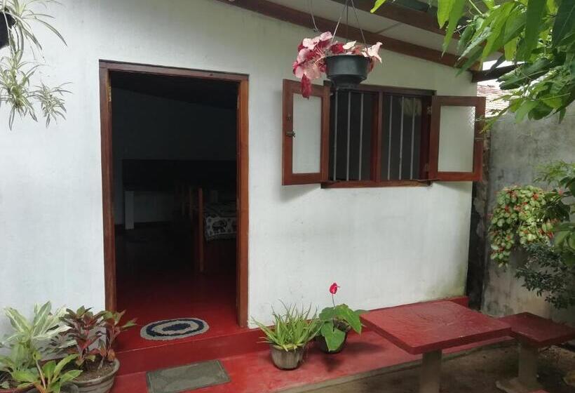 豪华房间, Mango Villa 703