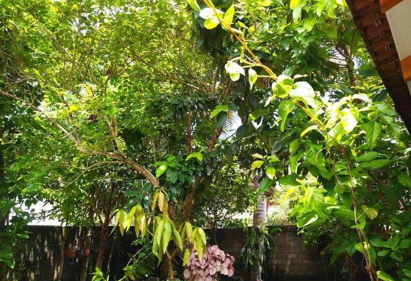 带1个卧室的公寓, Mango Villa 703