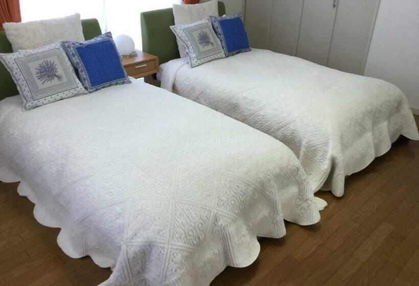 شقة غرفة واحدة, La Curacion