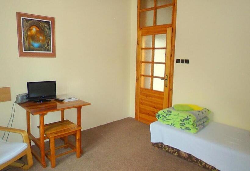 اتاق استاندارد یک نفره, Wellness Penzion Lázně Jablonec