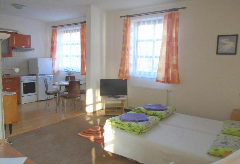 Suite with Terrace, Wellness Penzion Lázně Jablonec