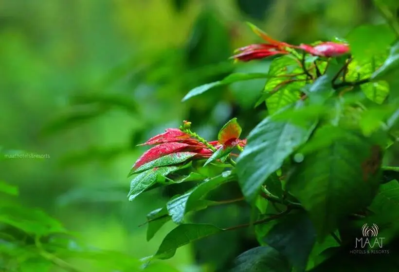 Standard-huone Parveke, Dew Drops Farm Resorts