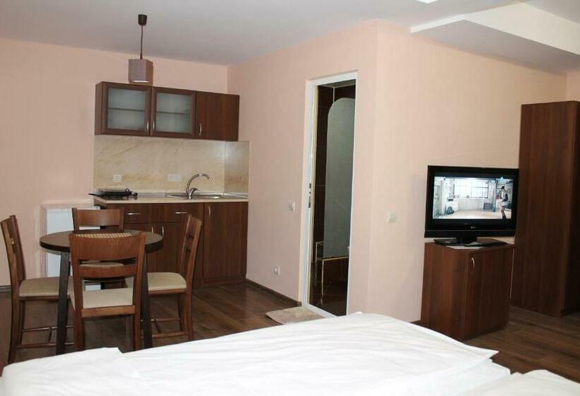استودیو خانوادگی, Center Guest House