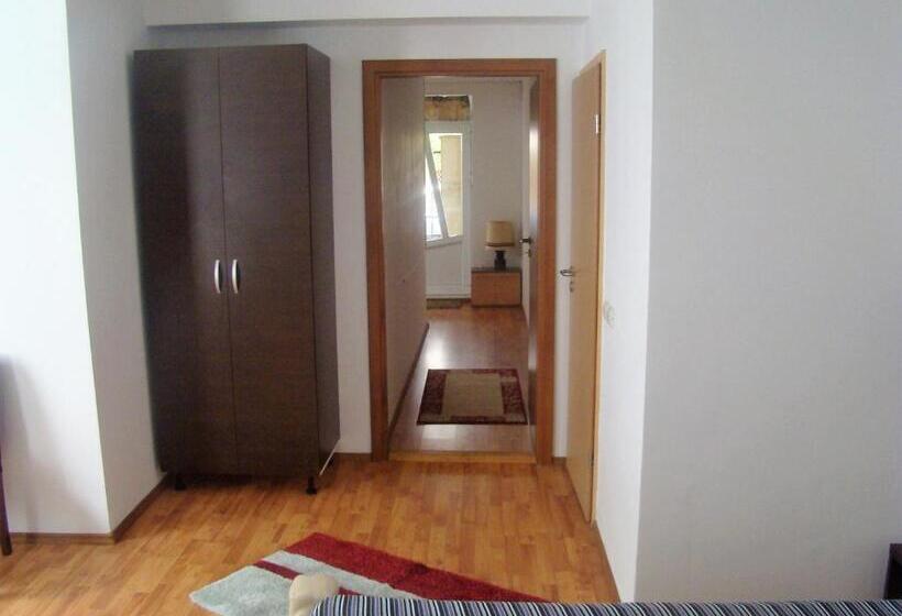 高级大房间, Guest House Andrei