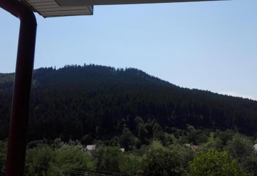 スタンダードルーム, Pensiunea Balan