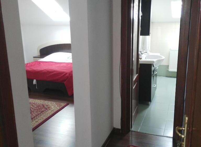 エコノミーシングルルーム, Pensiunea Balan