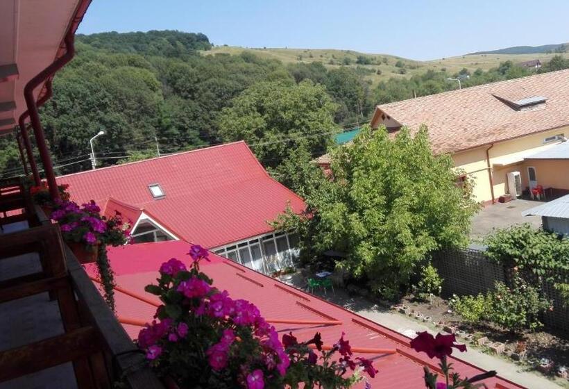 マウンテンビュースタンダードルーム, Pensiunea Balan