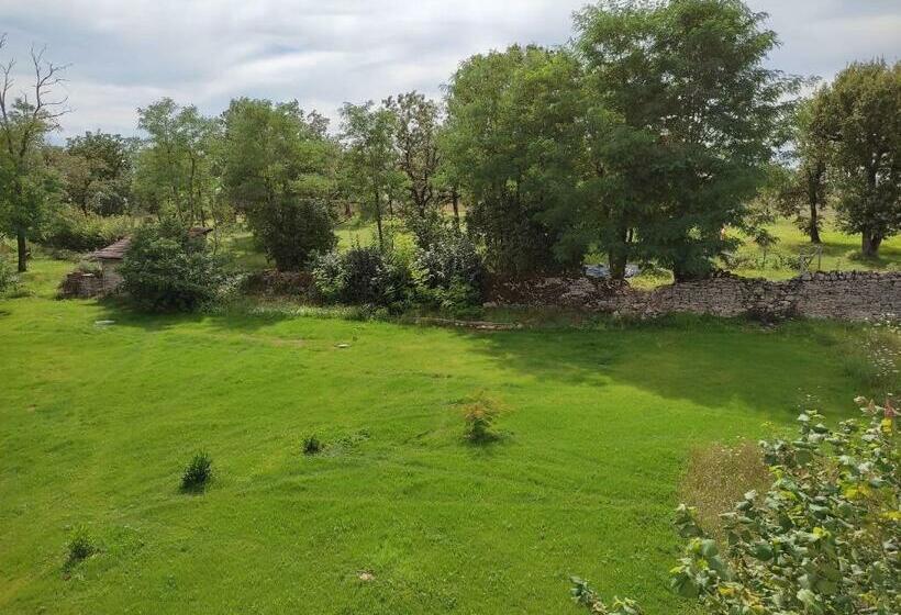 标准三人间, Des Voyageurs