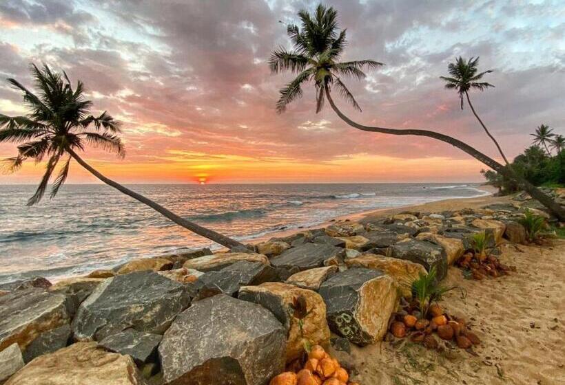 Семейный Номер, Rainbow Guest House