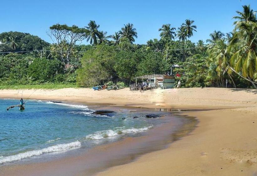 Номер Стандарт, Rainbow Guest House