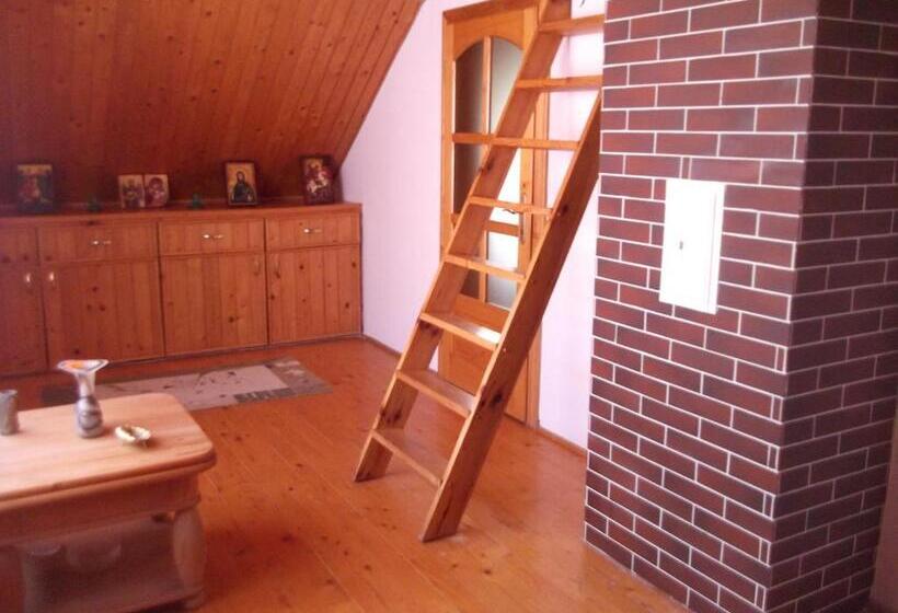 חדר סטנדרט חדר אמבטיה משותף, Pensiunea Raze De Soare