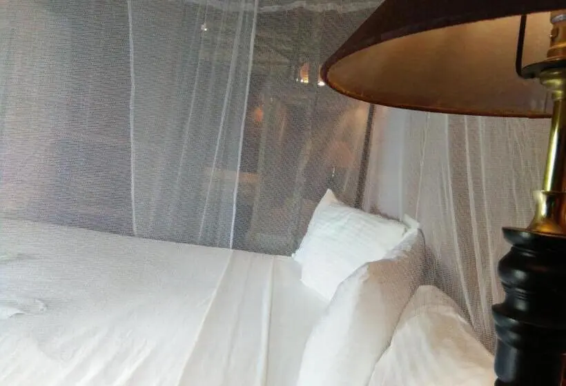 エコノミールーム, Cinnabar Resort