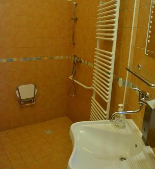 장애인을 위한 스탠다드 룸, Penzion Ve Věži