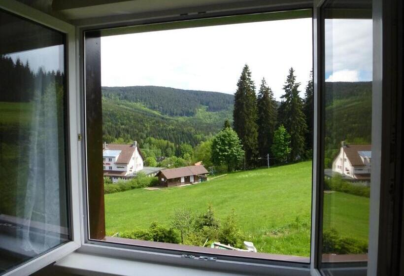 景色の見える一ベッドルームアパートメント, Ubytování Lyžařská škola