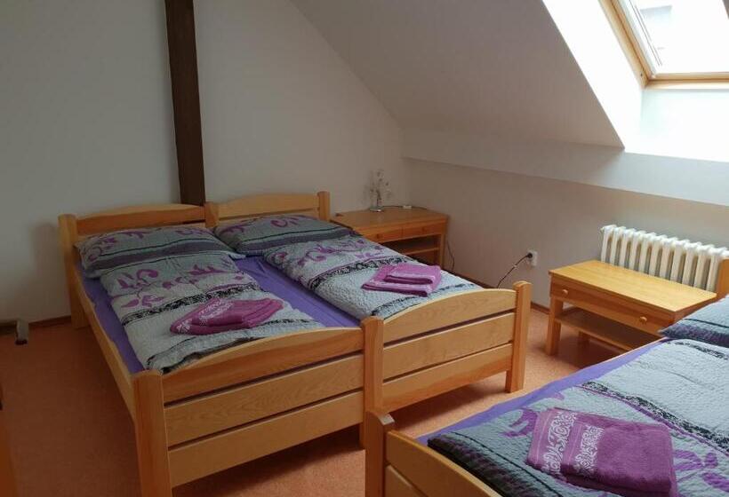 סוויטת 2 חדרי שינה, Ubytování U Františka