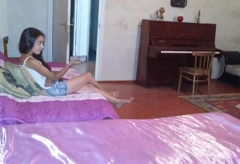 اتاق خانوادگی, Shushan Guest House