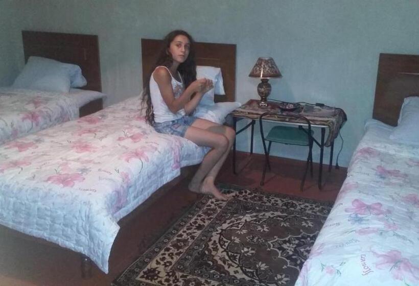 اتاق استاندارد سه نفره, Shushan Guest House