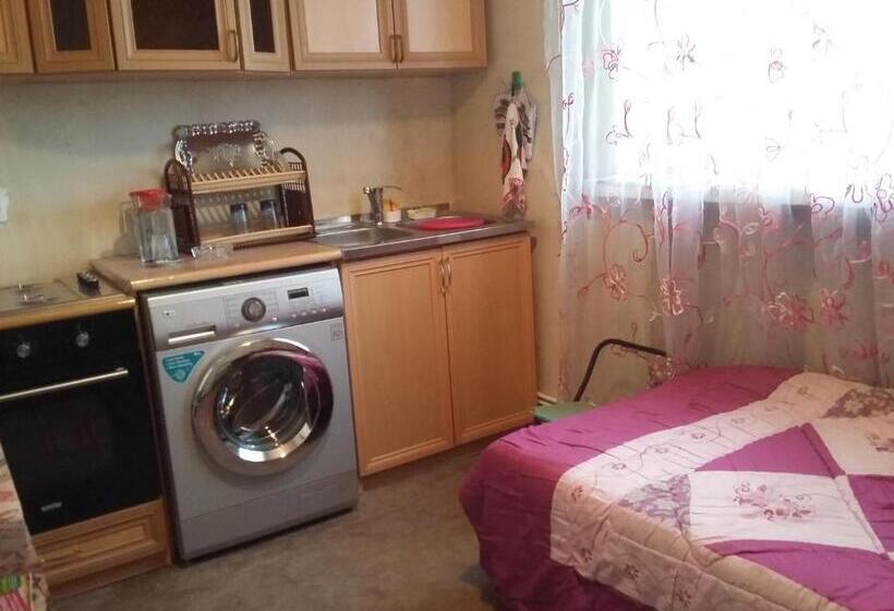 اتاق استاندارد یک نفره, Shushan Guest House