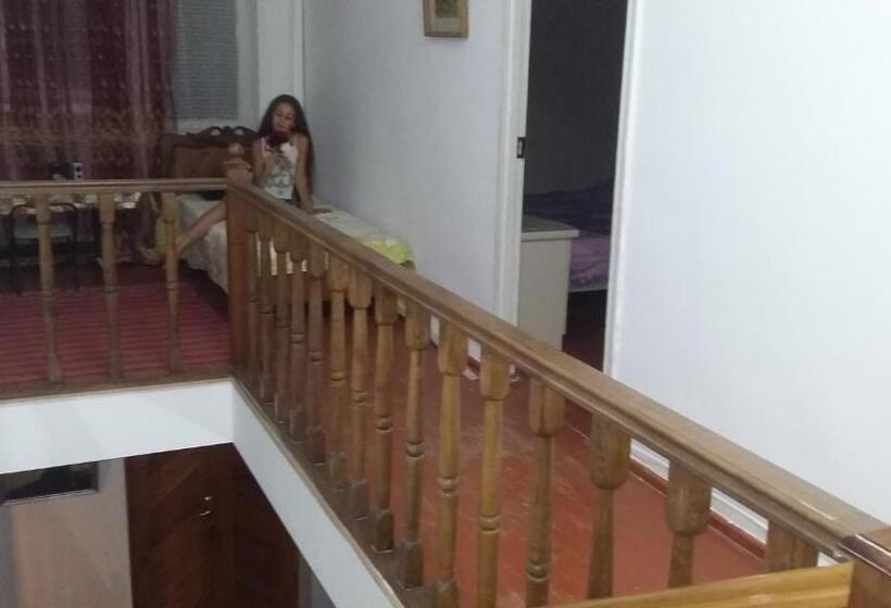 اتاق لوکس یک تخته, Shushan Guest House