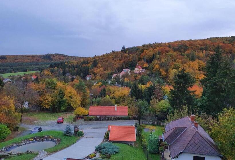 شقة غرفة واحدة ذات إطلالة, Rudolf Vendégház