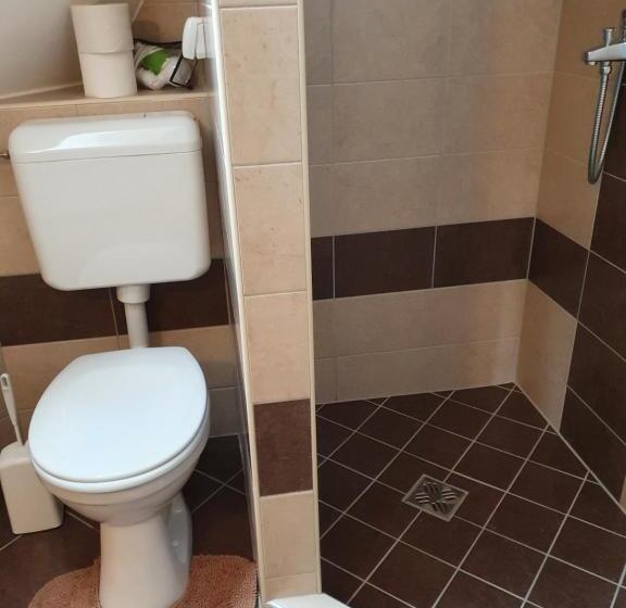 شقة غرفة واحدة ذات إطلالة, Rudolf Vendégház