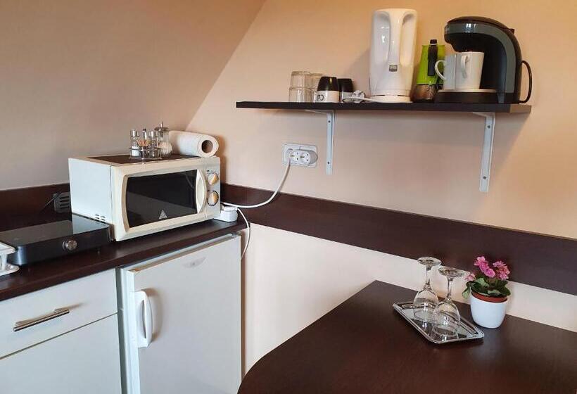 شقة غرفة واحدة ذات إطلالة, Rudolf Vendégház