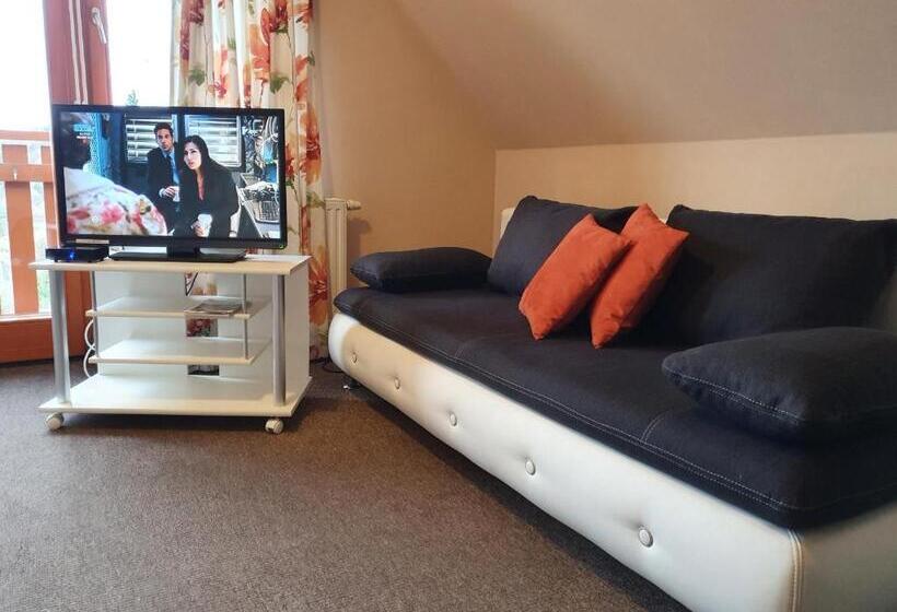 شقة غرفة واحدة ذات إطلالة, Rudolf Vendégház