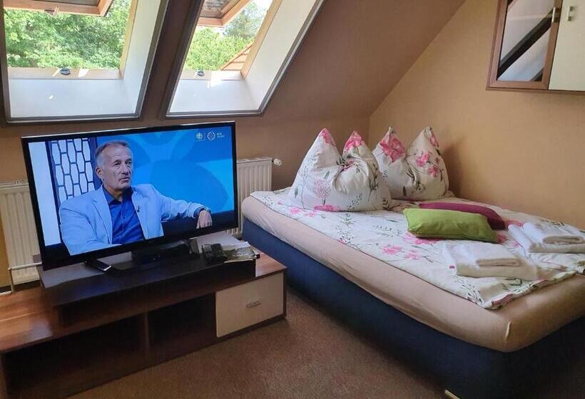 شقة غرفة واحدة مزودة بتراس, Rudolf Vendégház