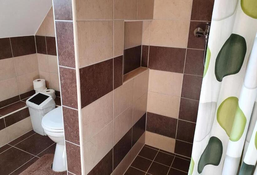 شقة غرفة واحدة مزودة بتراس, Rudolf Vendégház